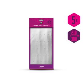   PVA tasak lyukakkal Delphin PVA n'tastic XXL 300x210mm (5db)