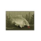 Szőnyeg Delphin 60x40cm CatchMe! PONTY