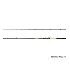 Delphin | Zandera B'Cast; 230 cm, 5-28gr {2 tag + tok}