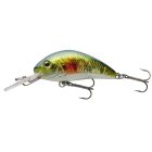 Cormoran Sügér Wobbler szett