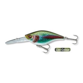   WOBBLER Daiwa; Prorex Crank BT80DR, 80mm 24gr (2,5-3,0m) l. rainbow tr.