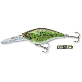   WOBBLER Daiwa; Prorex Crank BT80DR, 80mm 24gr (2,5-3,0m) live brown trout