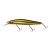 WOBBLER Daiwa Steez Minnow; 110SP-SR 110 mm, 14,4 gr, (1,3m) Champagne Black Gold