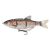 WOBBLER Team Cormoran; ME-Ra Roach, 110 mm 18gr (Süllyedő) Rainbow trout