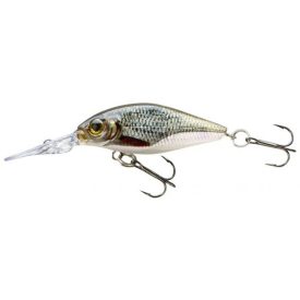   WOBBLER Team Cormoran; Belly Diver Mini, 38 mm 3gr (0-2,0m) Roach *Real