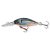 WOBBLER Team Cormoran; Belly Diver Mini, 38 mm 3gr (0-2,0m) Roach