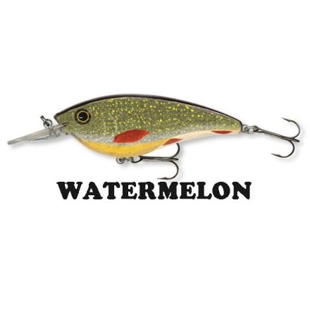 WOBBLER Team Cormoran; Fringo N, 110 mm 40gr (0-3,0m) Watermelon