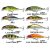 WOBBLER Daiwa; Prorex Flat Minnow 50SS, 50 mm 4,8 gr (süllyedő) Live orange bleak