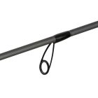 Delphin | ZANDIT; 230 cm, 25 gr {2 tag + tok}