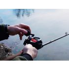 ORSÓ Delphin | Runix Multiorsó; 6+1 SS BB