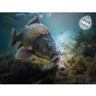 CSIGA CSALI Delphin D SNAX SHELL 30gr 14mm Rák-Krill