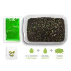 PELLET BOX Delphin Reaxe READY&GO 3in1 (400gr + 120ml +5db csali) Fokhagyma-Vajsav