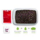 PELLET BOX Delphin Reaxe READY&GO 3in1 (400gr + 120ml +5db csali) Szilva-Eperfa