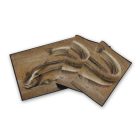 Szőnyeg Delphin 60x40cm Retro HARCSA