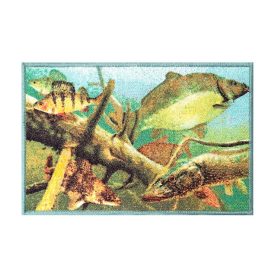 Szőnyeg Delphin 60x40cm AQUA