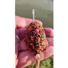 ETETŐPELLET Top Mix Dynamic Carp 800gr Csoki-Narancs