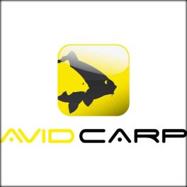 Avid Carp